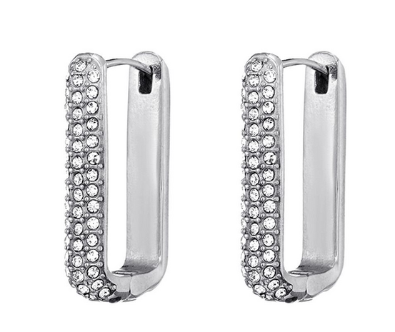 Oorbellen zilver