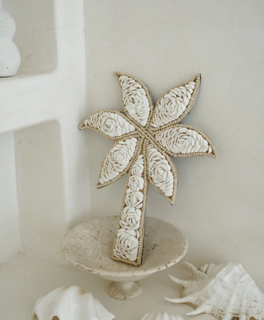 The Sea Shell Palmtree