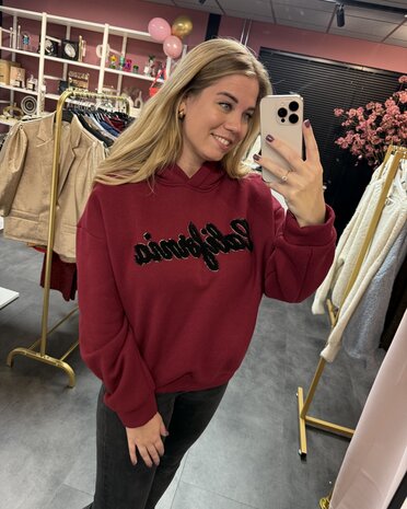 Hoodie Kendall 