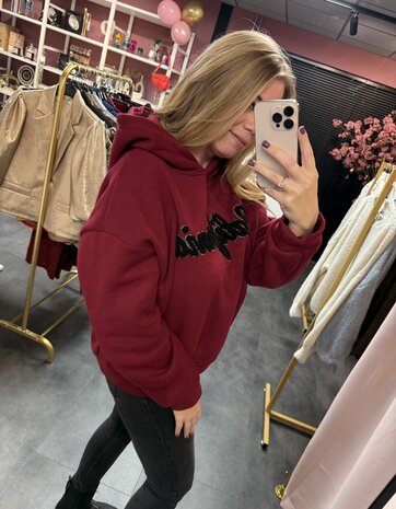 Hoodie Kendall 