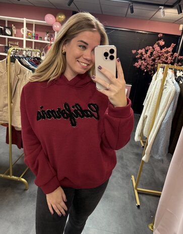 Hoodie Kendall 