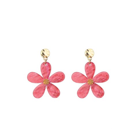 Be Dazzled oorbellen - 114