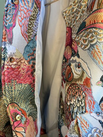Kleurrijke bomberjack vogels